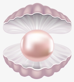 Pearls Clipart Clipart Shell, HD Png Download - kindpng