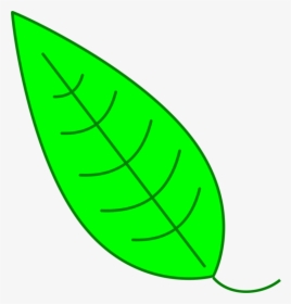 Plant,grass,leaf - Leaf Inkscape, HD Png Download, Free Download