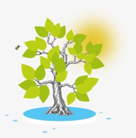 Symbolbild Photosynthese Mit Baum Und Sonne - Photosynthesis Clipart Transparent Background, HD Png Download, Free Download