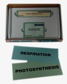 Transparent Photosynthesis Png - 4life Research, Png Download, Free Download