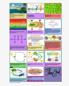 Light Dependent Reaction Storyboard, HD Png Download, Free Download