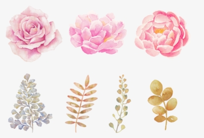 Watercolor Flowers Png Transparent Background - Watercolor Flowers Transparent Background, Png Download, Free Download