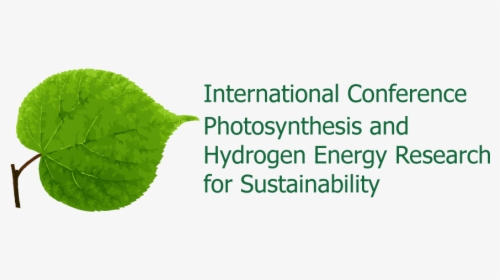 International Conference On Photosynthesis And Hydrogen - Annual Plant, HD Png Download, Free Download