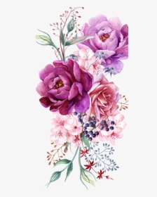 Watercolor Peony Png, Transparent Png, Free Download
