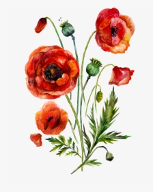 Clip Art Watercolor Painting Common Flowers, HD Png Download, Free Download