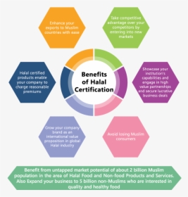 Benefits Of Halal Certification, HD Png Download, Free Download