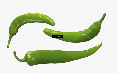 Bell Pepper Plant Png - Chili Pepper, Transparent Png, Free Download
