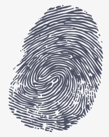 Fingerprint Grey - Fingerprint Transparent Background, HD Png Download, Free Download