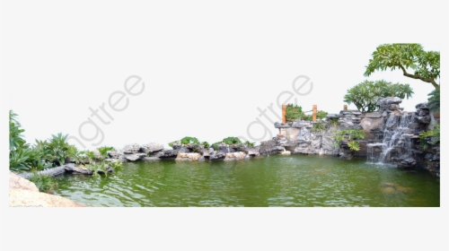 Transparent River Rat Clipart - Transparent Background Pond Png, Png Download, Free Download