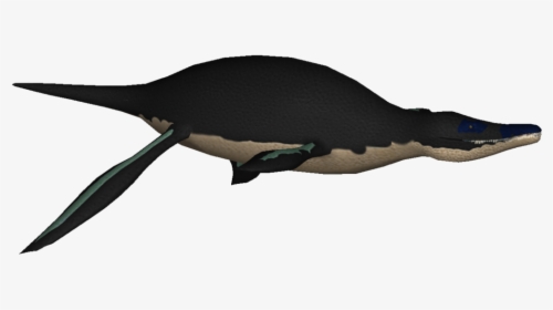 Liopleurodon12 - Humpback Whale, HD Png Download, Free Download