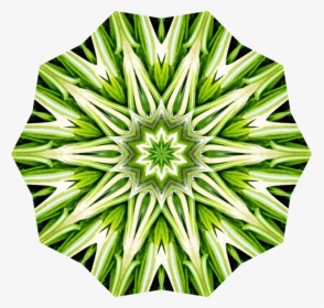 Plant,flora,leaf - Optical Illusion, HD Png Download, Free Download