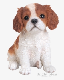 King Charles Puppy Dog Vivid Arts Pet Pals Brown - Cavalier King Charles Spaniel, HD Png Download, Free Download