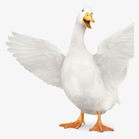 Aflac Duck Transparent, HD Png Download, Free Download
