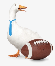 Aflac, HD Png Download, Free Download