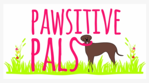 Pawsitive Pals - Dog Catches Something, HD Png Download, Free Download