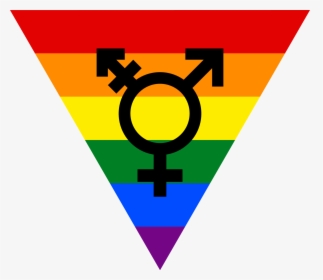 Transparent Lesbian Symbol Png - Transgender Symbol, Png Download, Free Download