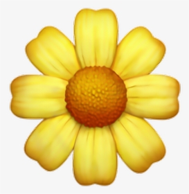 flor #girasol #amarillo #emoji #tumblr - Flower Emoji Png, Transparent Png  - kindpng