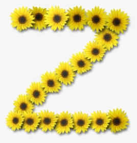 Alfabeto Sunflowers Z, HD Png Download, Free Download