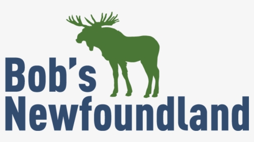 Bob"s Newfoundland - Elk, HD Png Download, Free Download