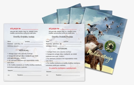 Brochure, HD Png Download, Free Download