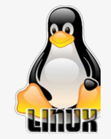 Linux Hosting Png Transparent Images - Linux, Png Download, Free Download