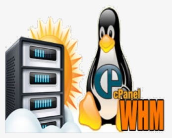 Linux Hosting Png Transparent Images - King Penguin, Png Download, Free Download
