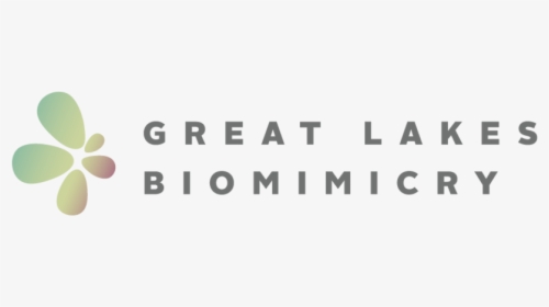 Great Lakes Biomimicry Cwa Partner Logo - Graphics, HD Png Download, Free Download