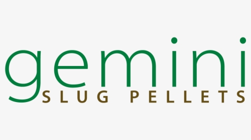 Gemini Slug Pellets - Coresystems, HD Png Download, Free Download