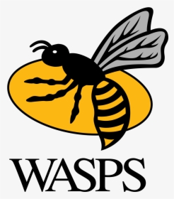 Wasps Rugby Logo, HD Png Download, Free Download