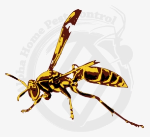 Illustration, HD Png Download, Free Download