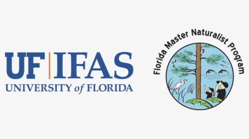 Fmnp Logo - University Of Florida, HD Png Download, Free Download