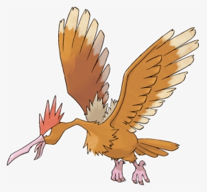 Nj Coding Practice - Fearow Pokemon, HD Png Download, Free Download