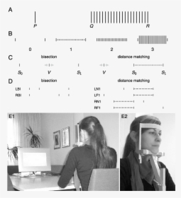 Monochrome, HD Png Download, Free Download