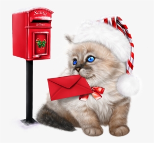 Tube Noël - Ragdoll Kittens Clipart, HD Png Download, Free Download