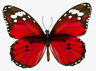 Butterflies Clipart Realistic Red - Happy New Year Butterfly, HD Png Download, Free Download