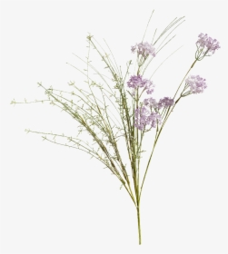 Meadow Flowers Png, Transparent Png, Free Download