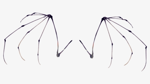 Clip Art Bat Wing Skeleton - Skeleton Bat Wings, HD Png Download, Free Download