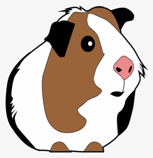Guinea Pig, Guinea Pig Vector, Guinea Pig Art, Pig - Cute Guinea Pig Clipart, HD Png Download, Free Download