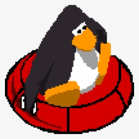 Club Penguin Sled Racing Penguin, HD Png Download, Free Download