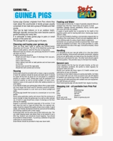 Pet Rat Information Sheet, HD Png Download, Free Download