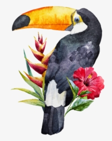 Watercolor Toucan Clipart, HD Png Download, Free Download
