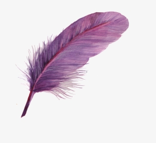 Can Purple Feather Transparent Decorative - Feather Icon Png, Png Download, Free Download