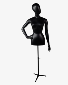Dsc 0064-5 Copy 2, HD Png Download, Free Download