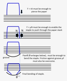 Seating Of Staple - Forces Of Stapler, HD Png Download, Free Download