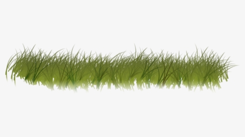 Clipart Grass Forest Grass - Forest Grass Png, Transparent Png, Free Download