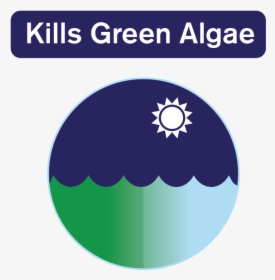 Algaecide Clarifier Is A Fast-acting Algae Treatment - Circle, HD Png Download, Free Download