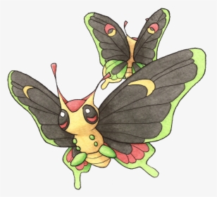 #010 Caterpie / #011 Metapod / #012 Butterfree - Cartoon, HD Png Download, Free Download