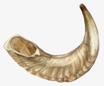 Shofar Png, Transparent Png, Free Download