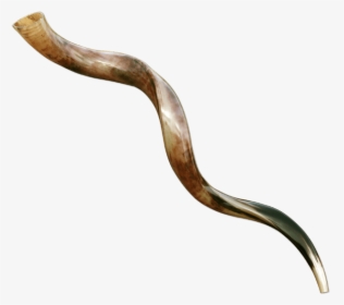 Shofar Yemenite Jambo 65, HD Png Download, Free Download