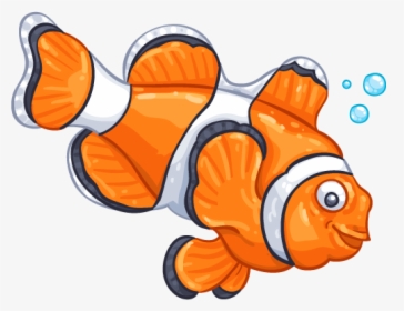 Clownfish, HD Png Download, Free Download
